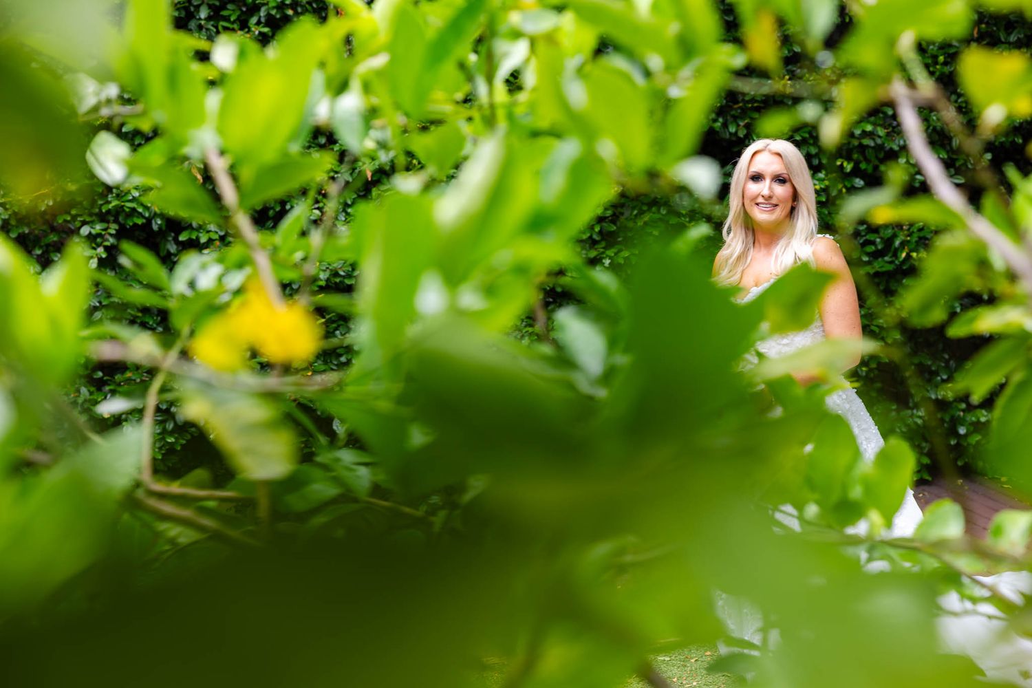 Lush green garden scene with bright yellow flowers peeking through dense foliage in natural sunlight.