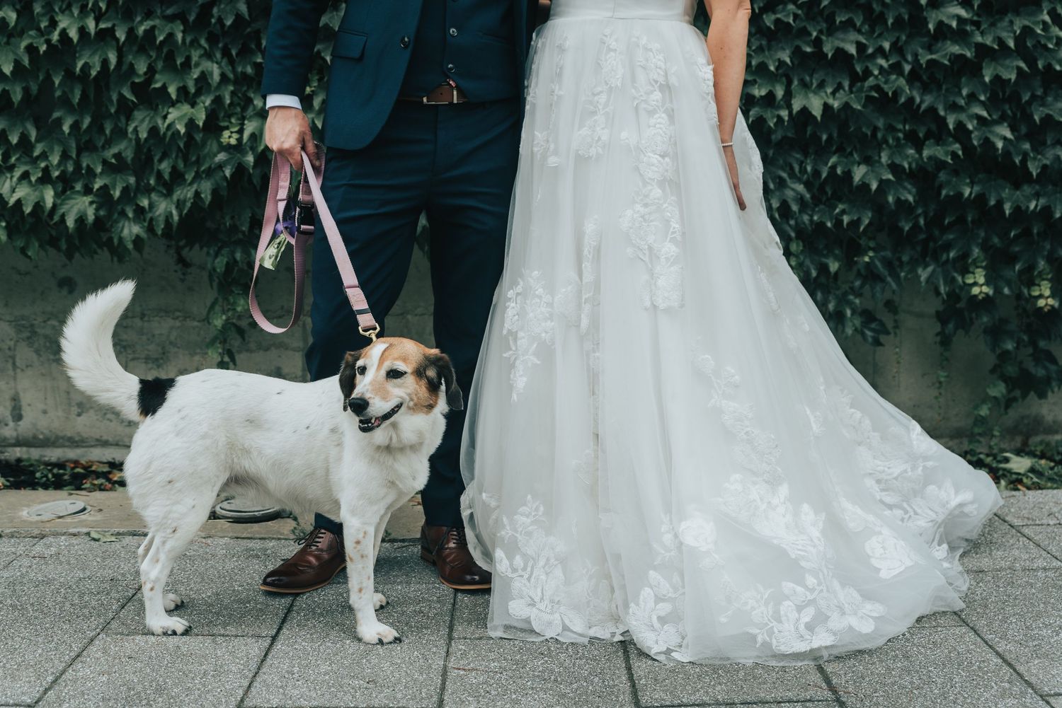 Timeless wedding portrait of bride and groom in natural light.