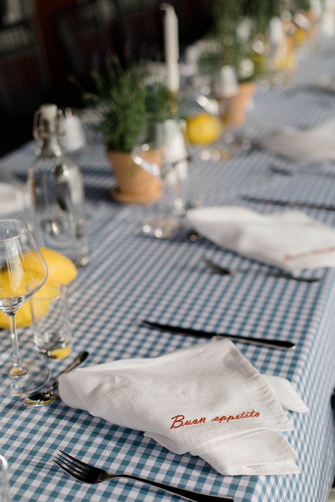 White cloth napkins with 'Buon appetito' text arranged on blue and white checkered tablecloth with place settings.