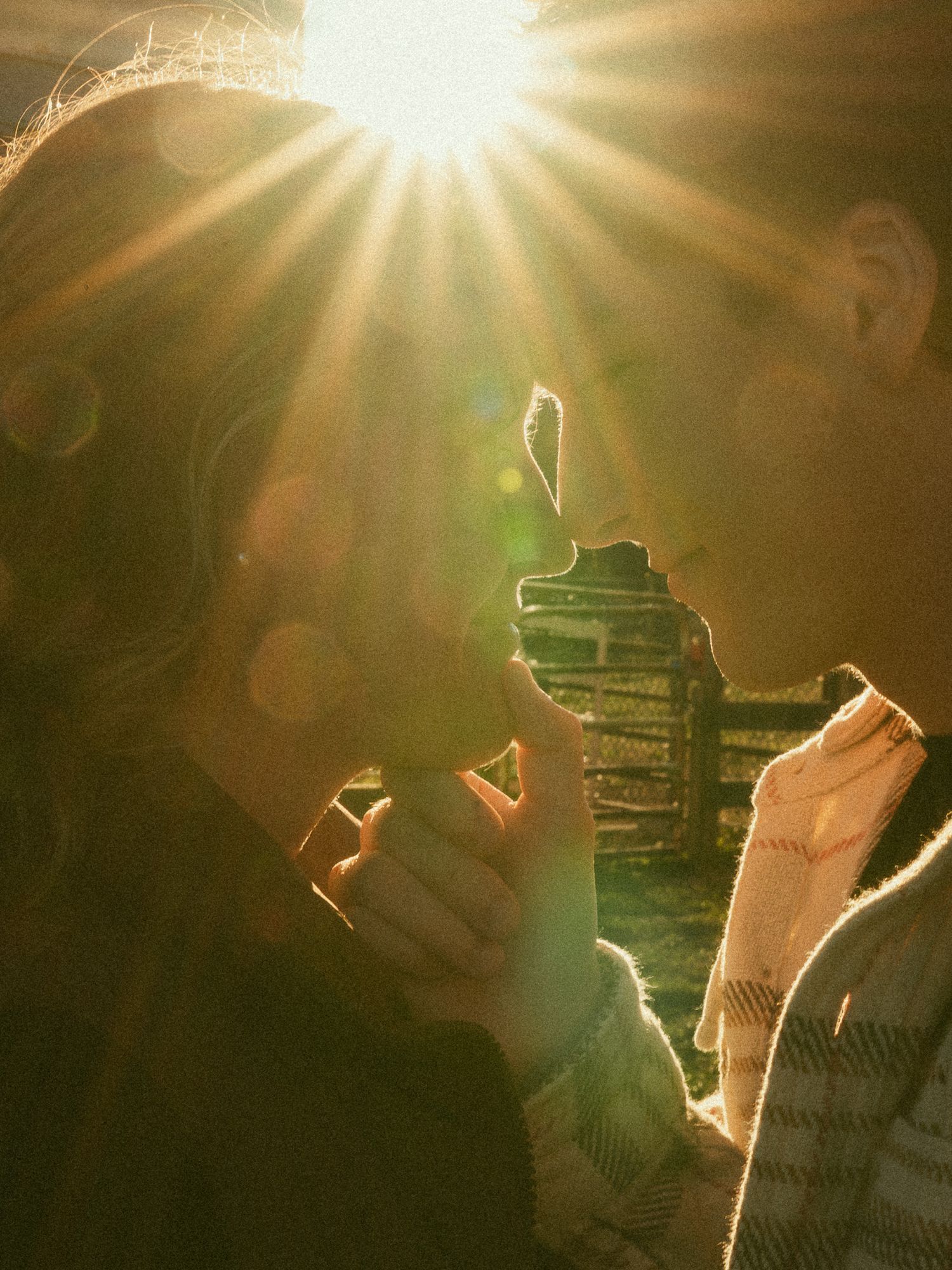 Two people sharing a romantic moment in golden sunlight with warm lens flare on a farm.