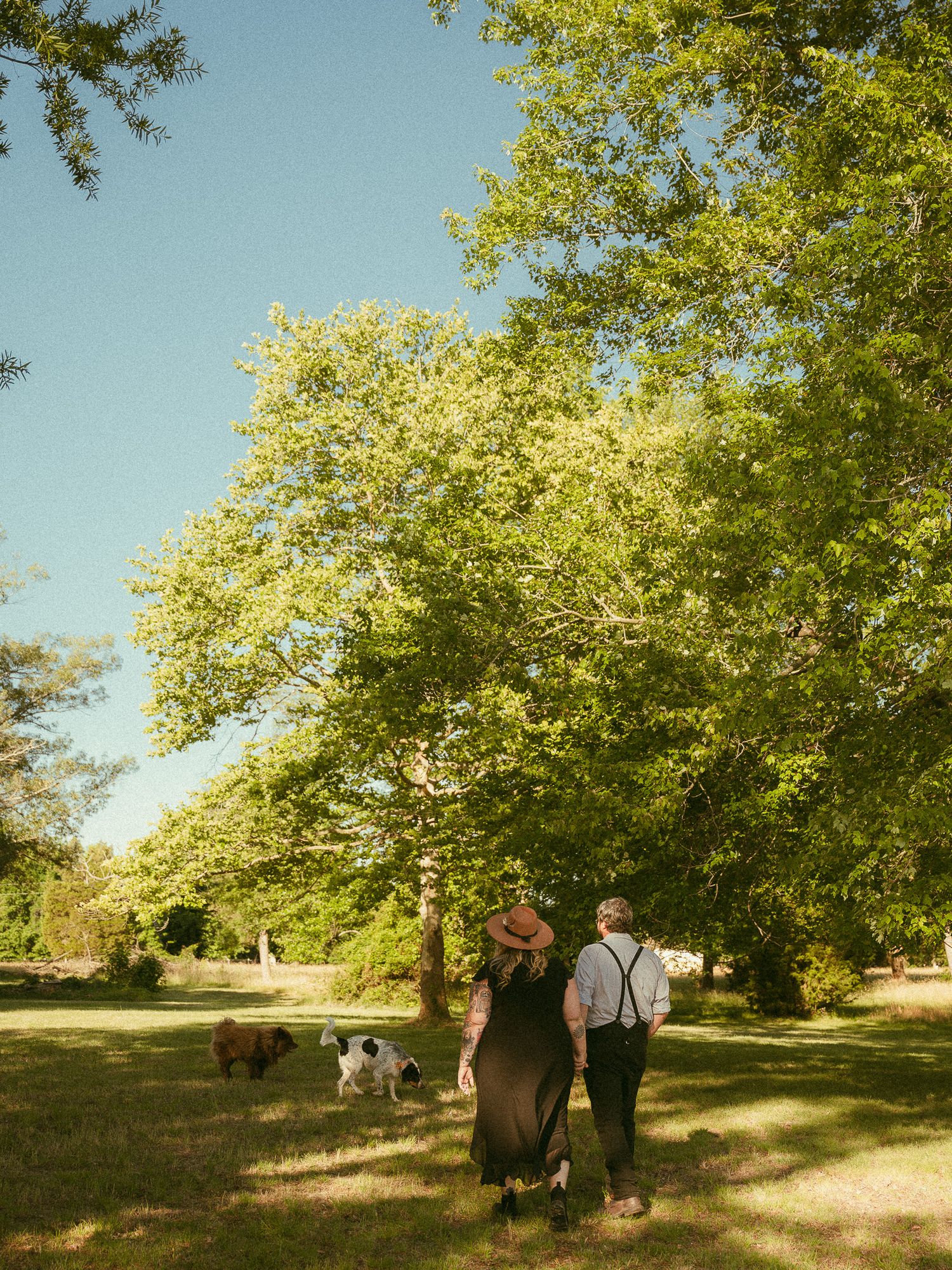 A couple walks with their dogs through a lush green park beneath a large tree on a sunny day.
