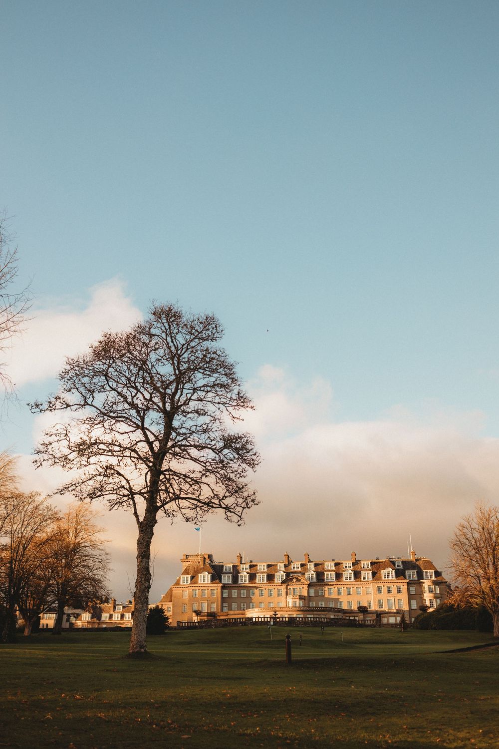 A grand historic hotel building sits on a hill at sunset with a bare tree silhouetted against the pale blue sky.