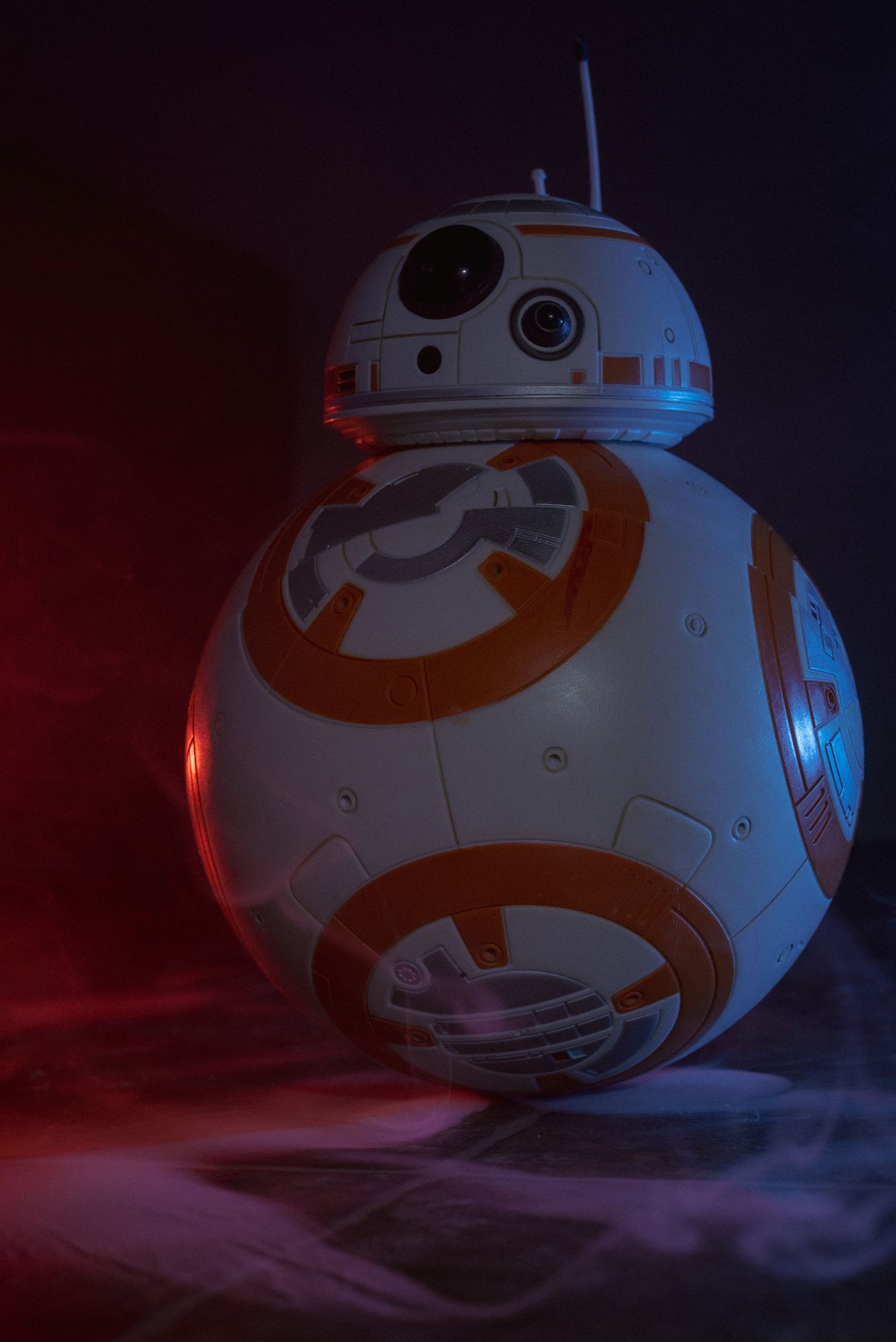 BB-8 cosplay photoshoot
Star Wars cosplay photography
droid cosplay portraits
sci-fi cosplay photoshoot