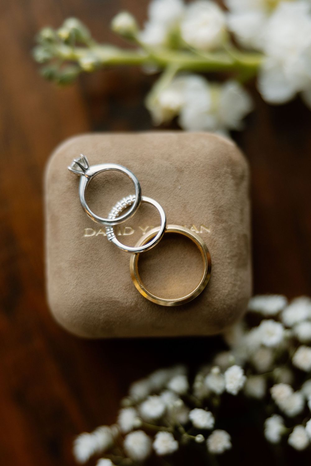 Wedding rings nestled on beige velvet cushions with delicate white flowers in the background.