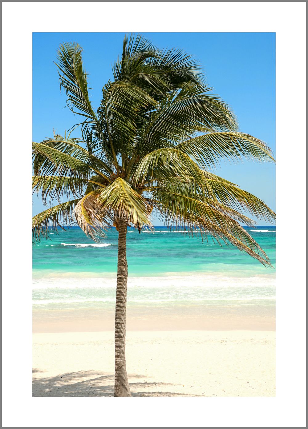 18" x 24" Fine Art Archival Prints Available March 15, 2025 through Fathom Art Gallery https://fathom-art.com Custom Sizes Available