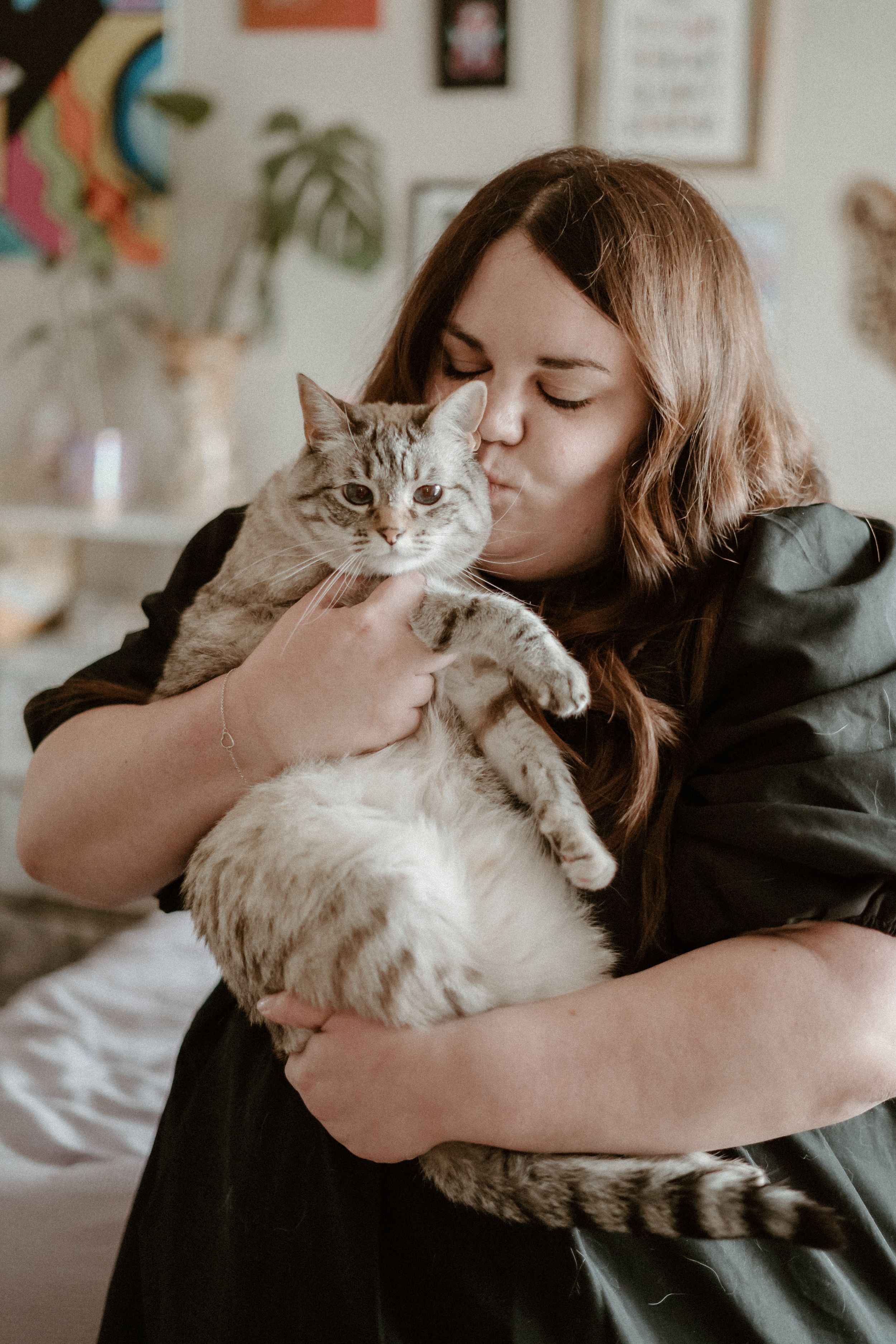 A grey striped cat being cuddled and kissed by someone in black clothing while sitting in a cozy home setting.