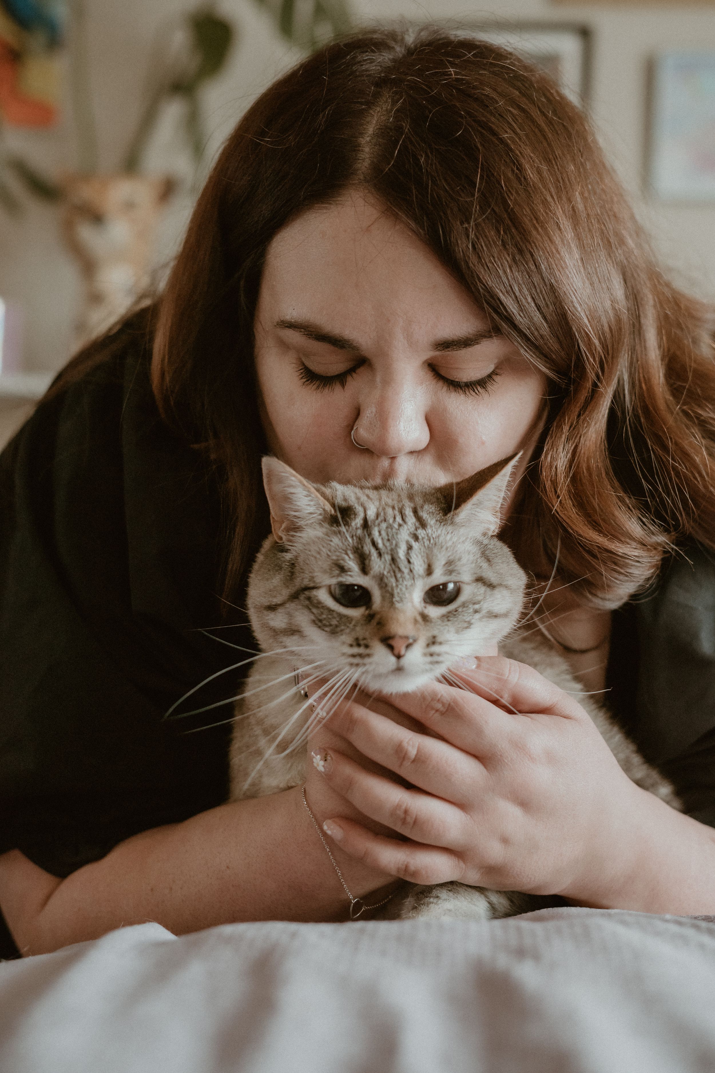 A grey cat with skeptical expression receives affectionate snuggles and kisses while being held by someone in a black sweater.