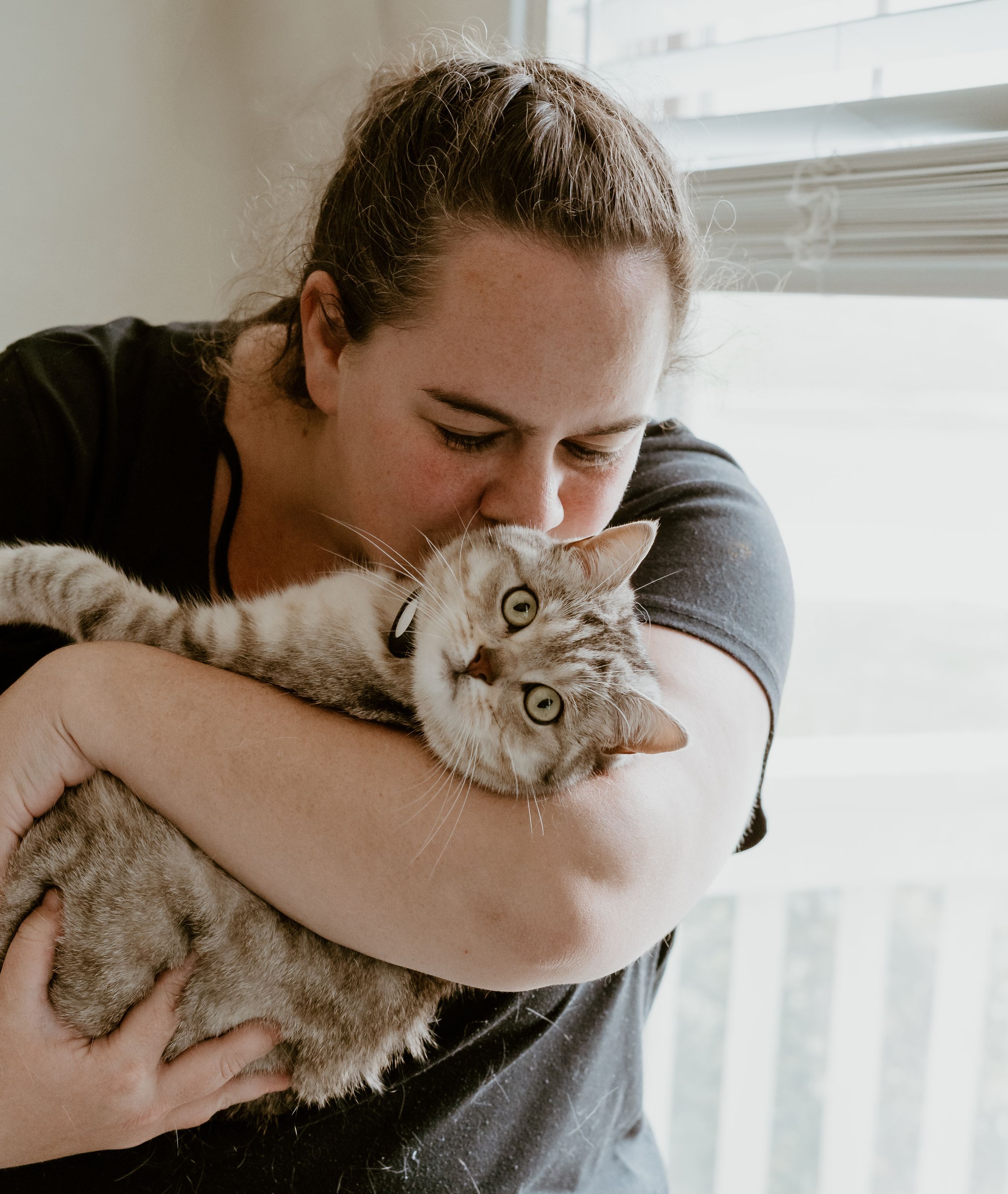 A tender moment between a fluffy grey tabby cat and someone hugging them near a window.
