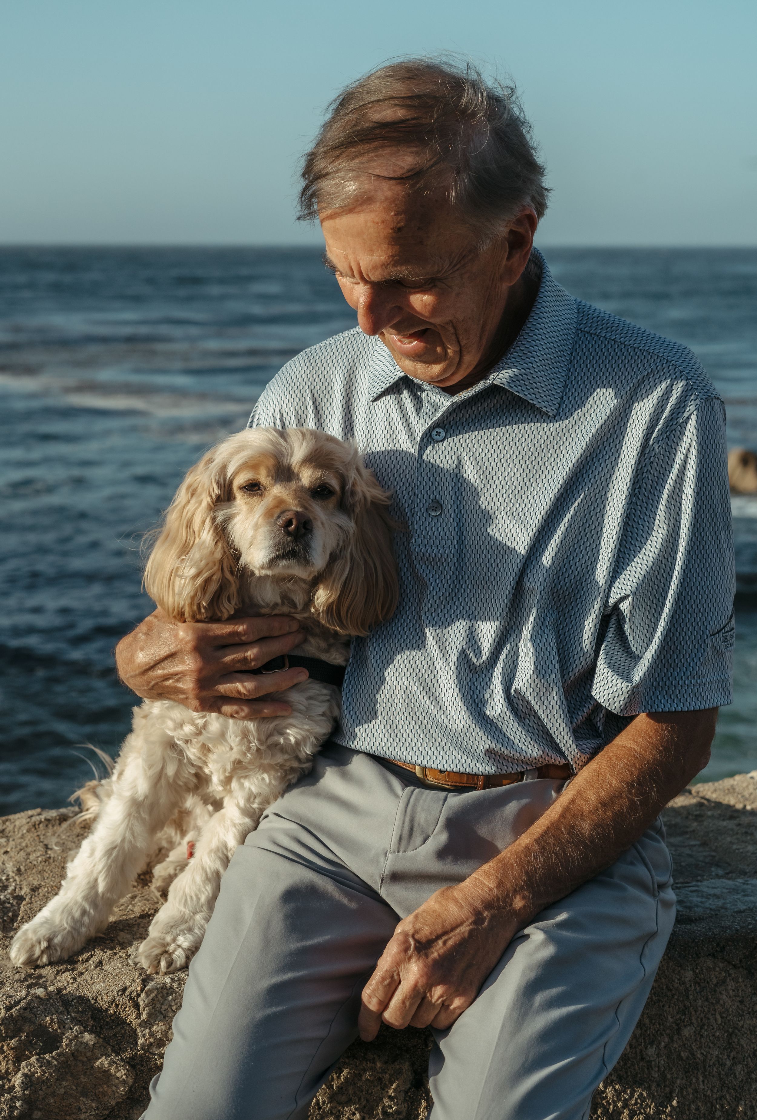 A person in a light blue shirt sits with their cocker spaniel dog by the ocean at sunset.