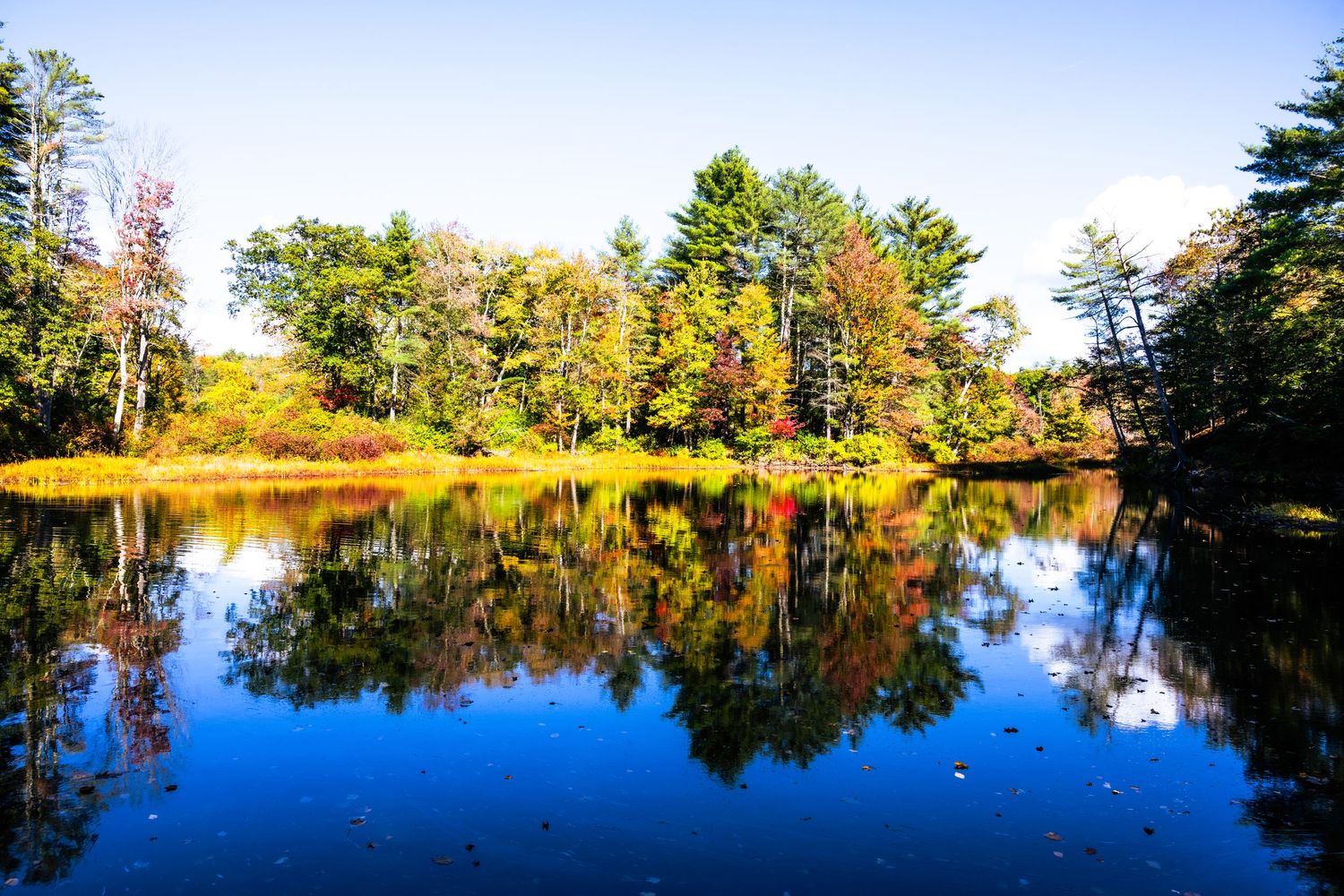 Lampery River, Epping, NH
