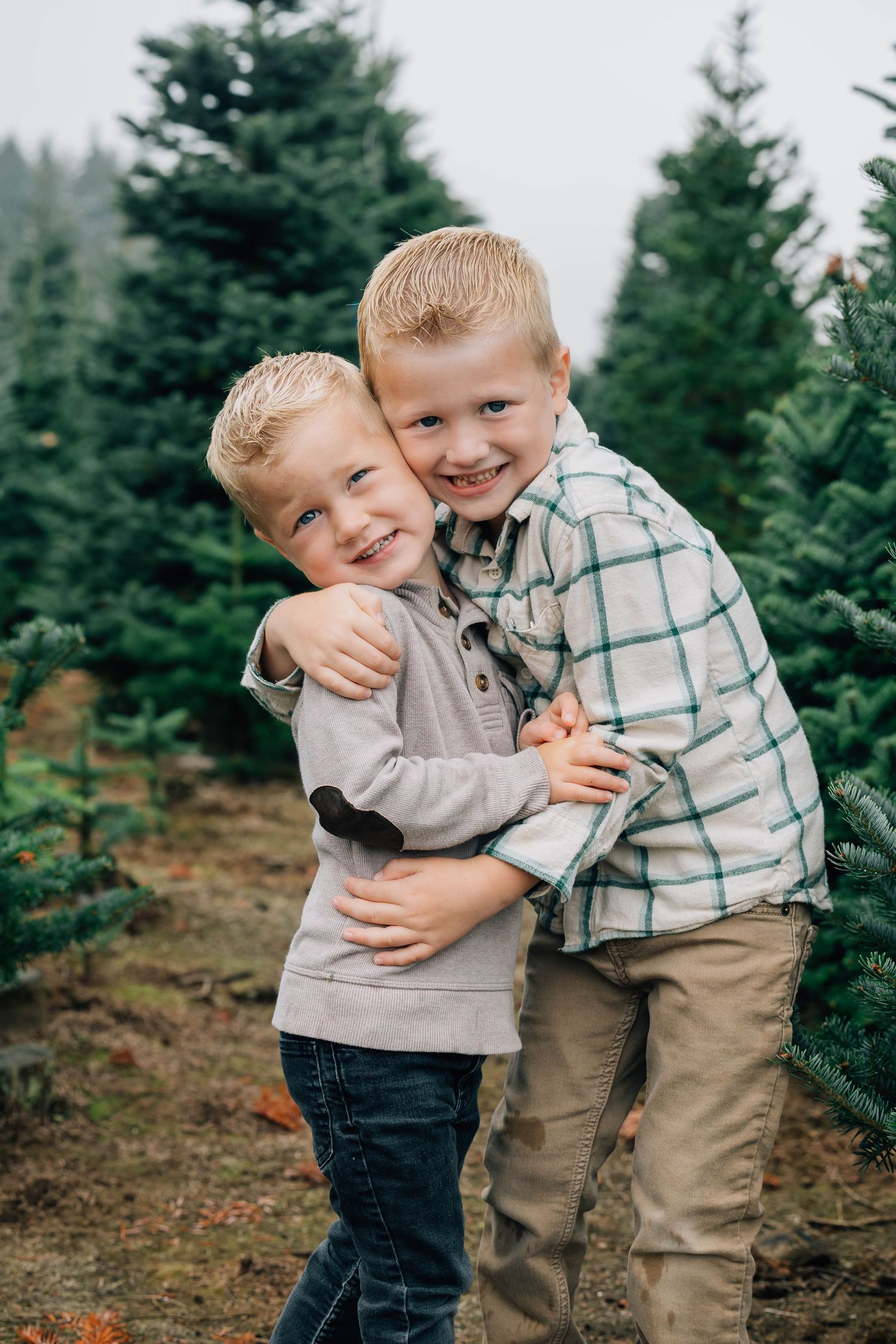 Two young blonde brothers hugging and smiling together at a Christmas tree farm.