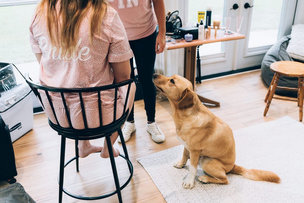 Golden retriever sitting attentively in kitchen while people gather around.