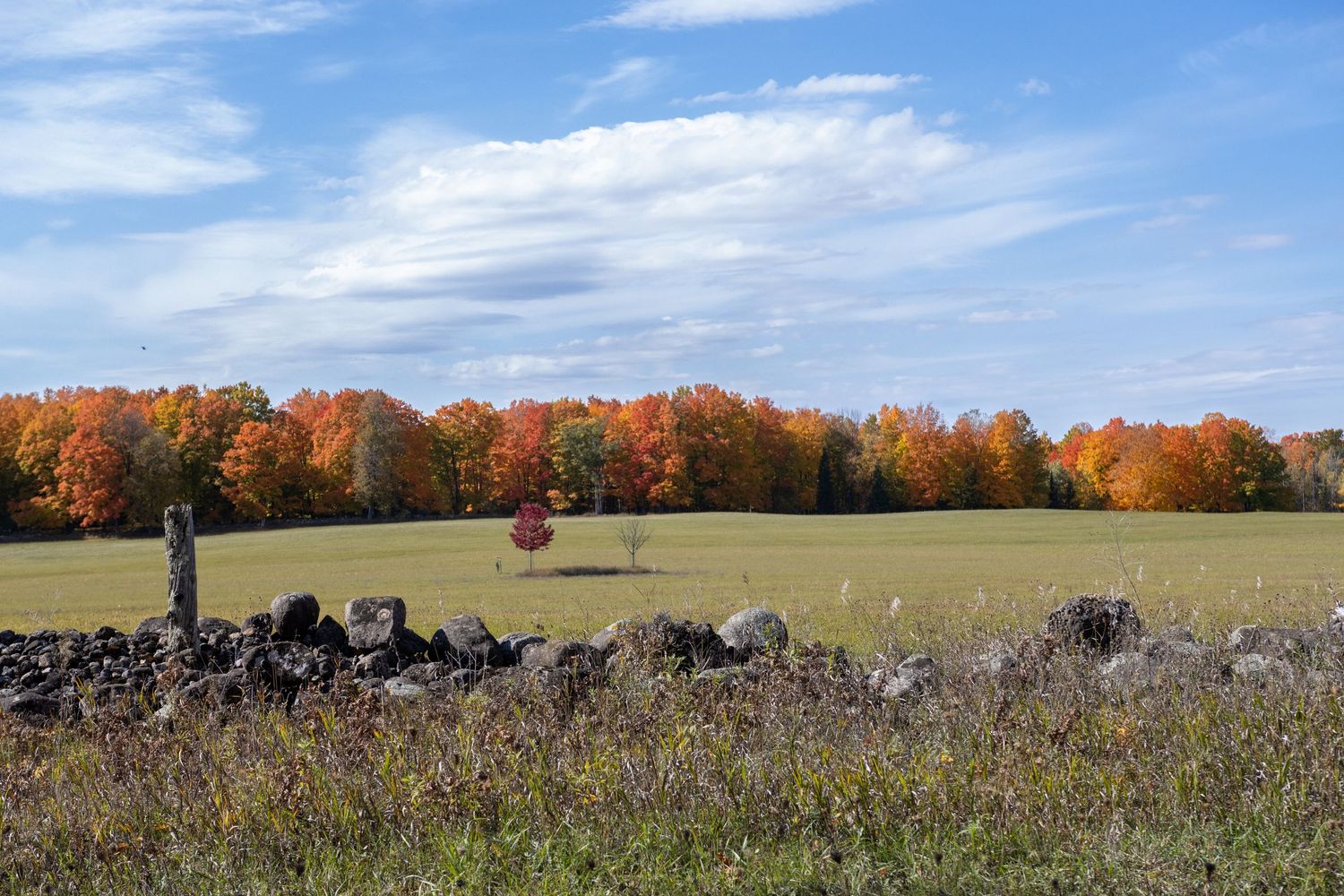 Landscape