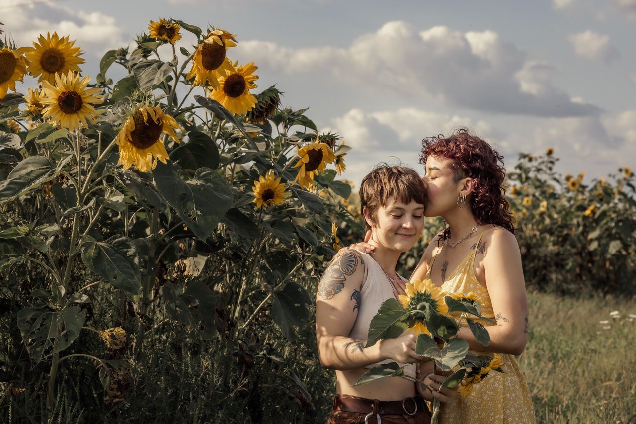 Golden sunflowers bloom in a field during sunset with warm natural lighting.