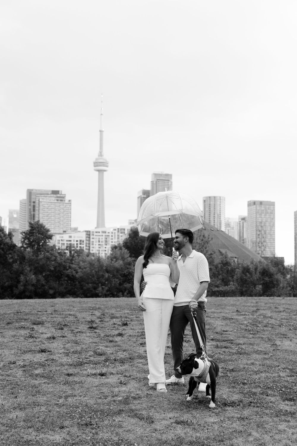 A couple with their dog enjoying a moment under an umbrella against Toronto's iconic CN Tower skyline.