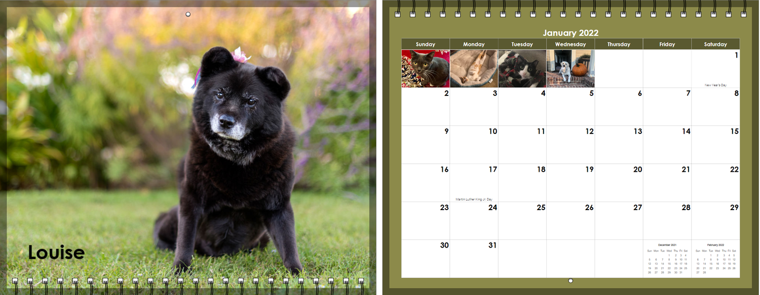 Calendar layout showing large photo of a black dog named Louise posing on grass with blurred garden background.