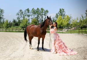 A pink dress flows elegantly in a scene with horses in an outdoor setting.