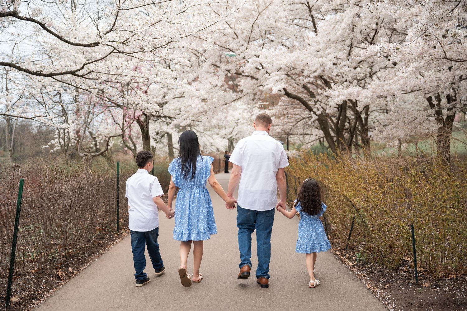 Branch Brook Park, Cherry Blossom family photo session.