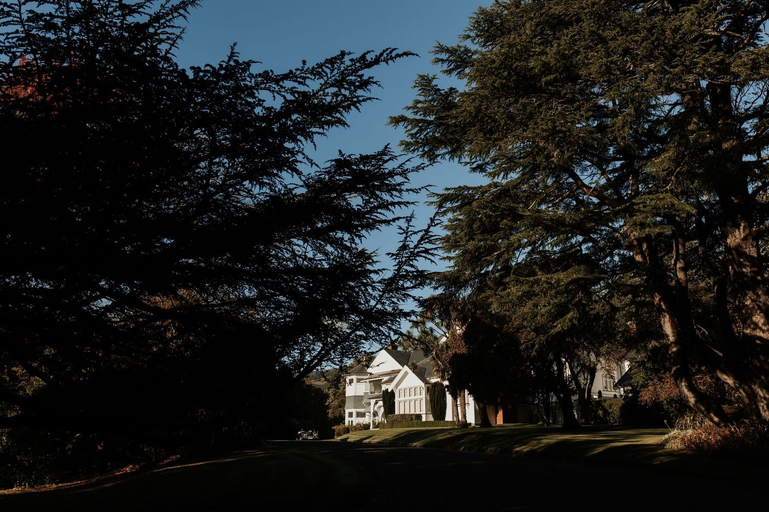 A white house nestled among trees at dusk with dramatic lighting and shadows.