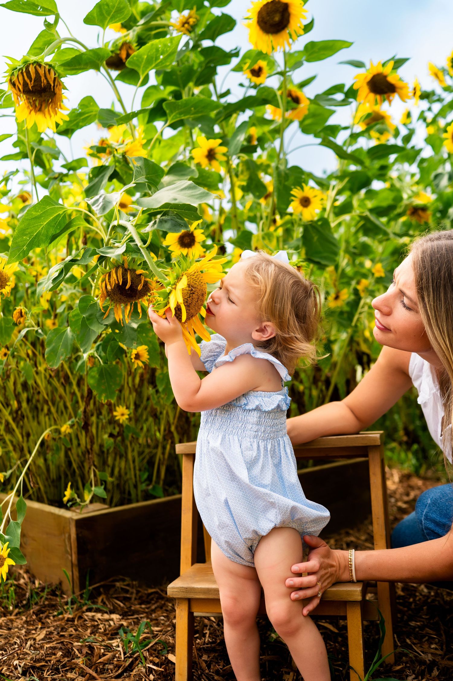 toddler girl smells sunflower with mother behind her during dallas area mommy and me mini photo session by mesquite family photographer