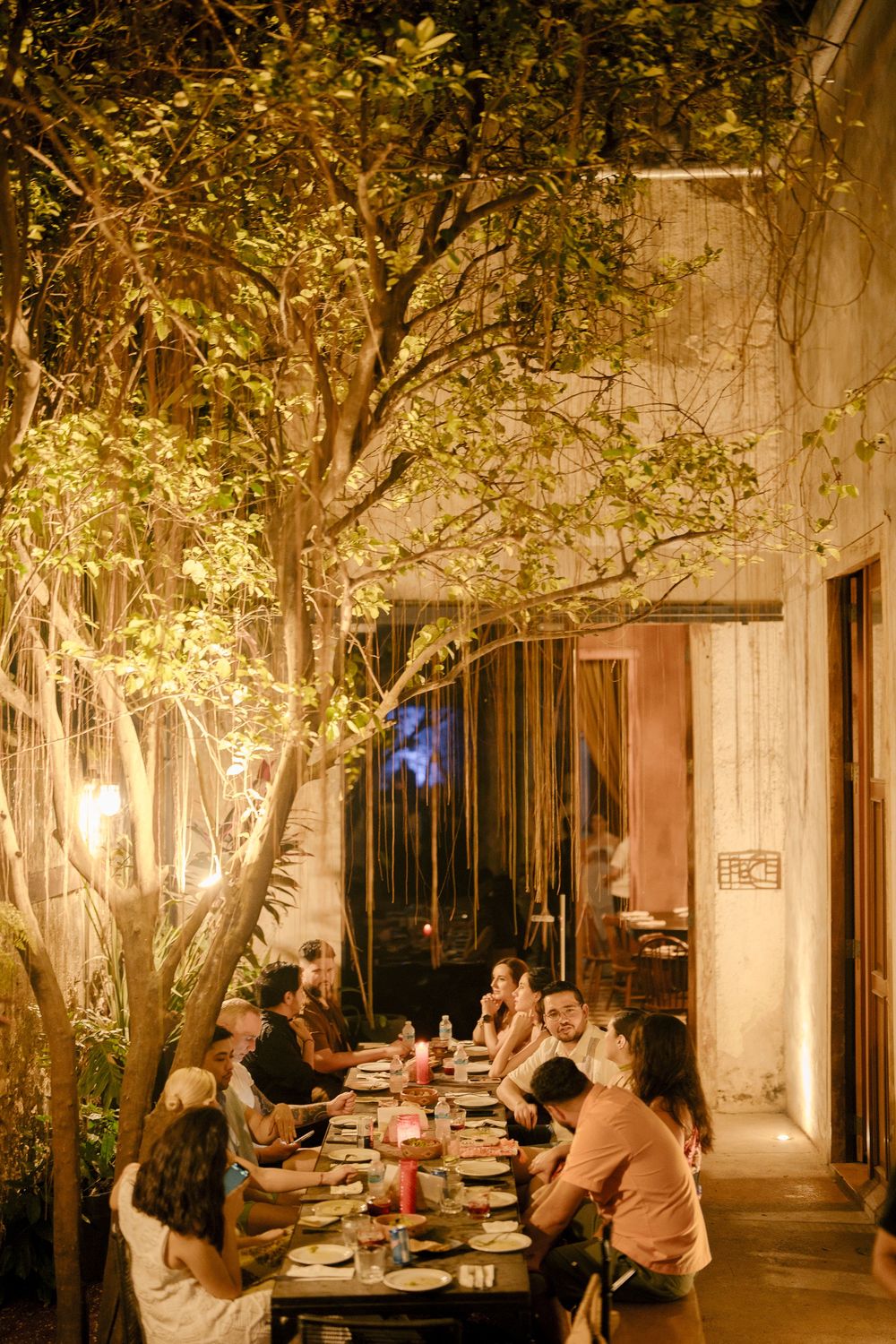 Diners enjoy a warm evening meal under illuminated trees at an outdoor restaurant patio with atmospheric lighting.