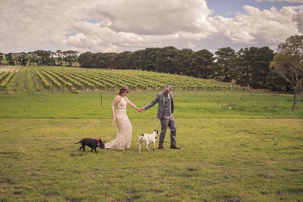 People and dogs enjoy a sunny day walking through a green pasture with rolling hills and white clouds in the sky.