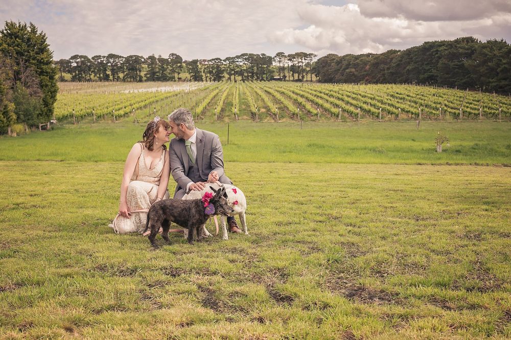 A couple sits with their dog on grass overlooking scenic vineyard rows under moody clouds.