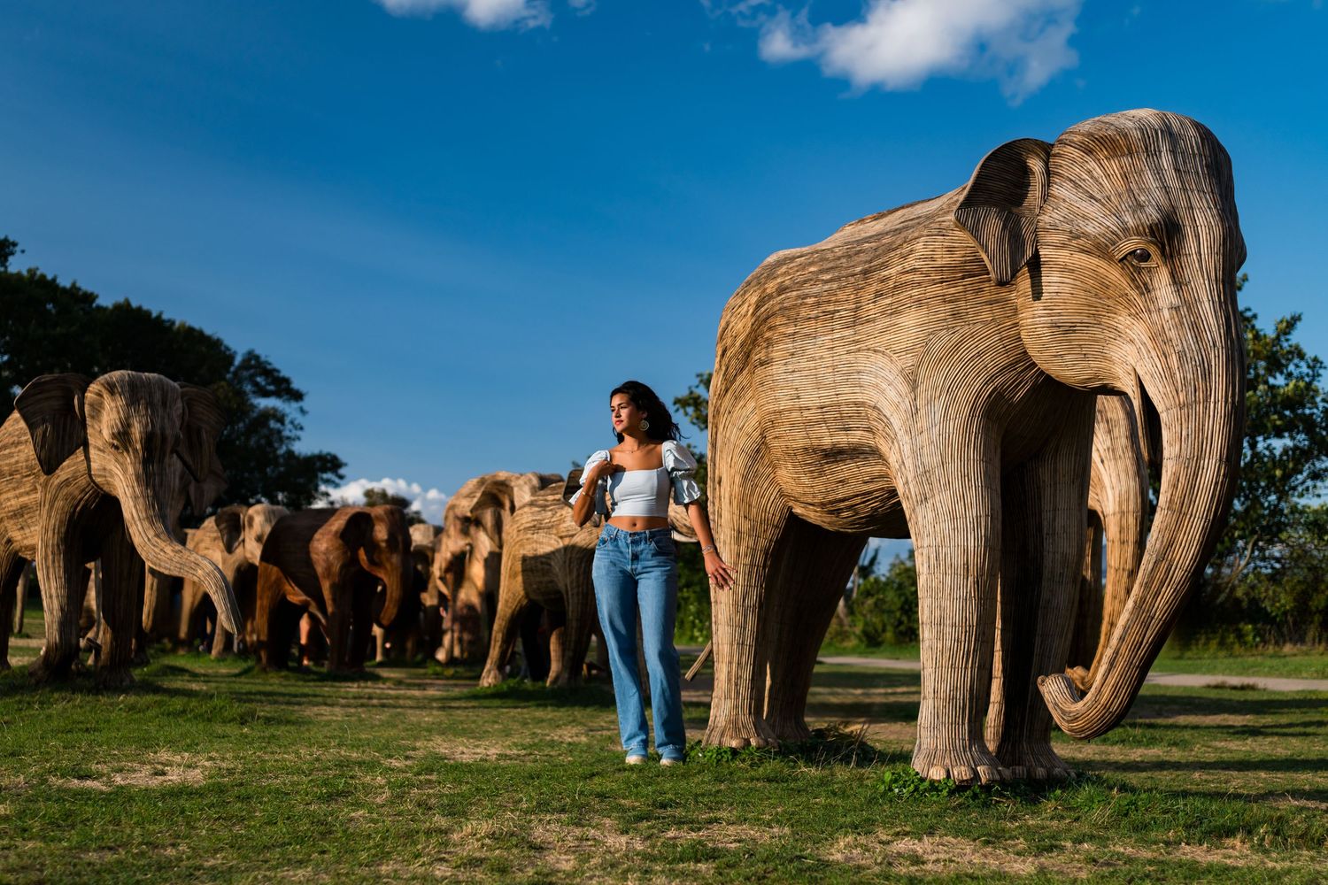 Row of large wooden elephant sculptures displayed in an outdoor park setting against a blue sky with white clouds.
