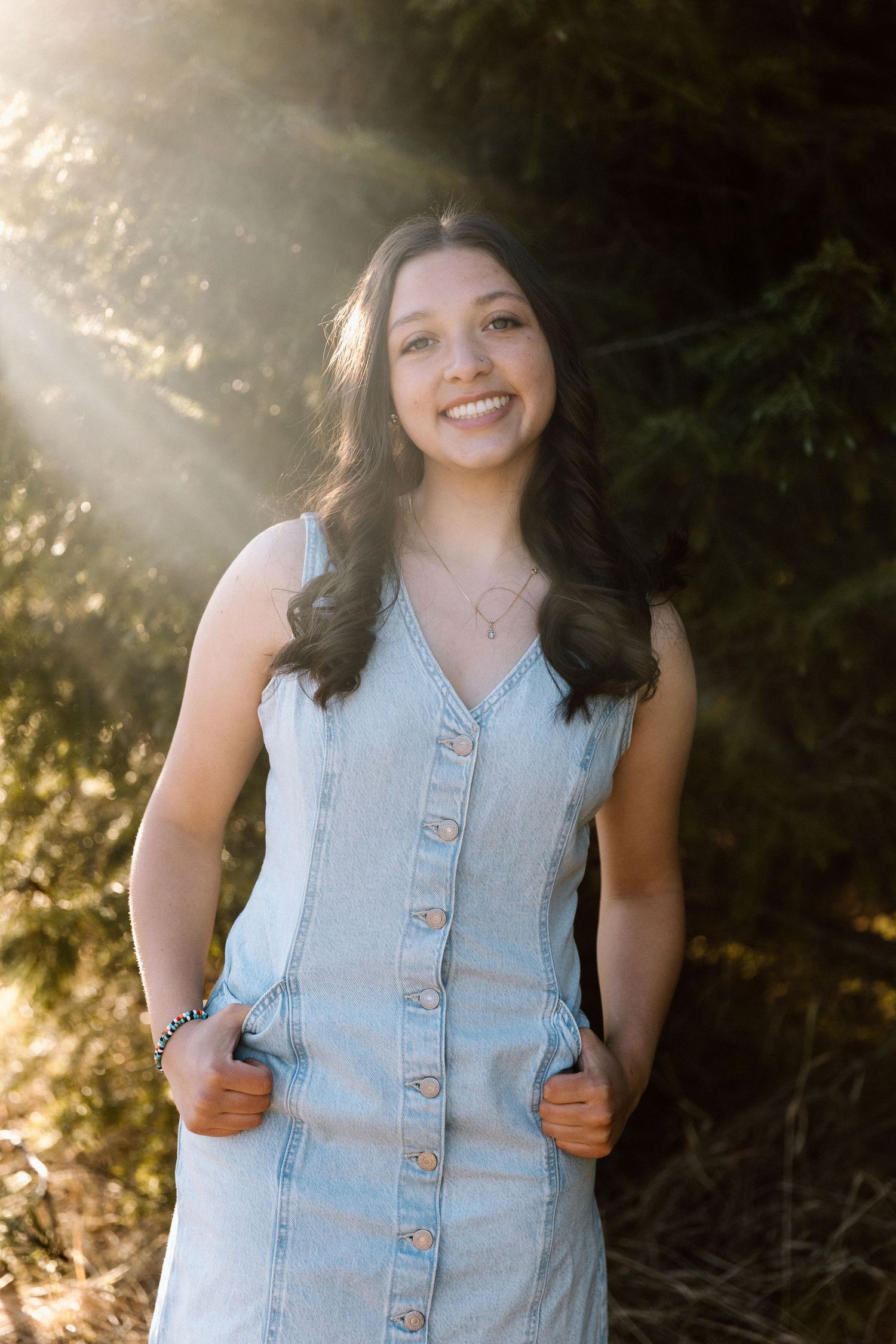 Sunlight filters through trees creating a magical backlit effect in a forest setting.
