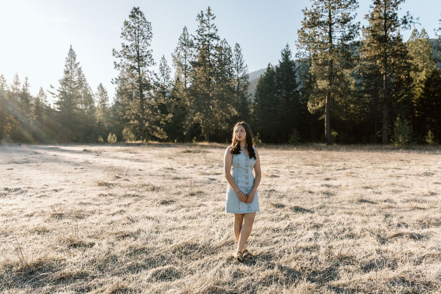 Light denim dress stands out in sunlit meadow with tall pine trees in background.
