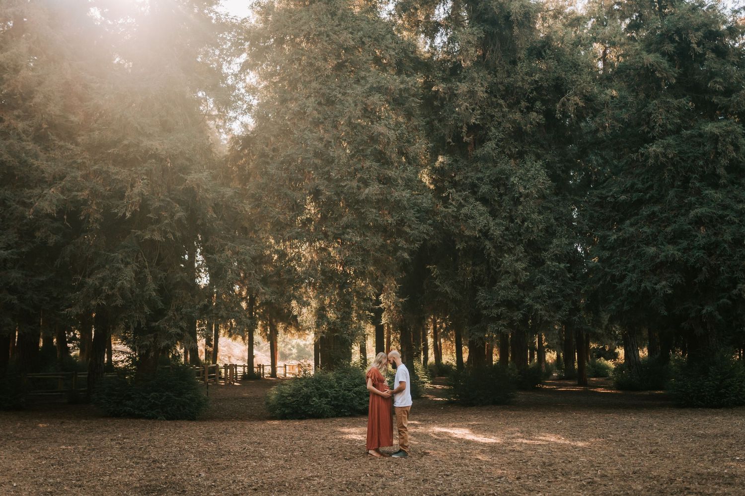 A romantic couple embraces in a golden-lit wooded park setting during sunset while having their photos taken.