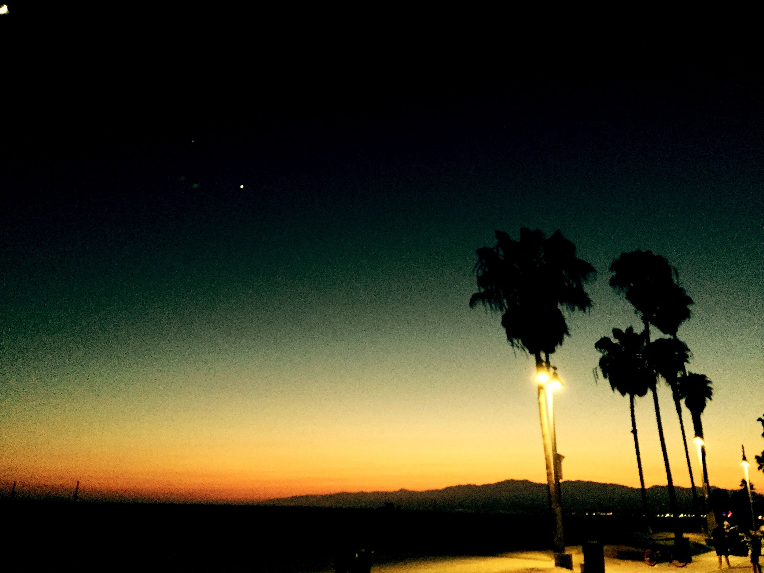 Silhouetted palm trees against a dramatic sunset sky with turquoise to orange gradient over water.