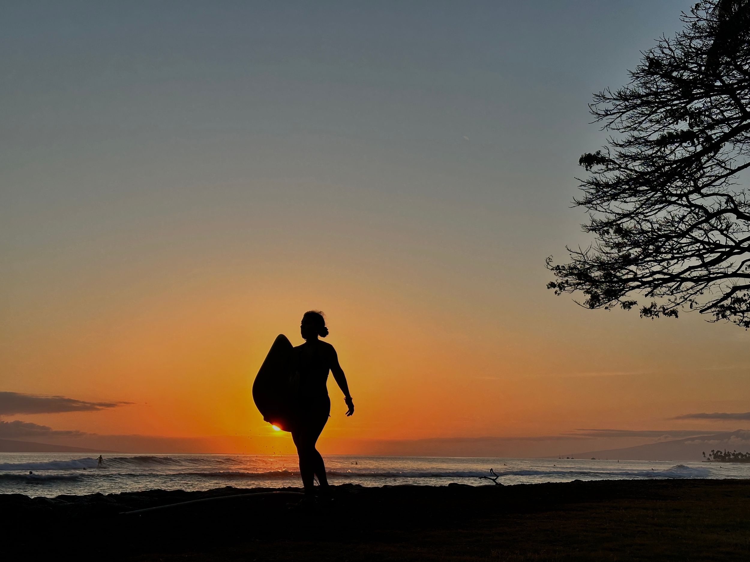 Silhouettes of people walking along seaside at sunset while orange sun creates dramatic dusk sky over ocean horizon.