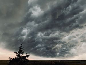 Dark storm clouds loom over a rural landscape with a lone silhouetted tree against a moody sunset sky.