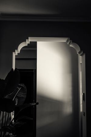 A dramatic noir-style sequence showing silhouetted figures and doorways with stark lighting contrasts in black and white.