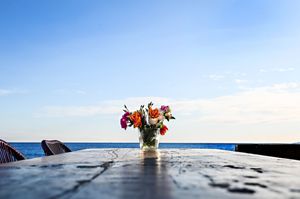 A small vase of red roses sits atop gray rocks overlooking a serene blue ocean vista.