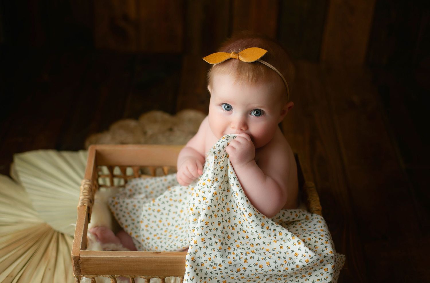 6m old little girl. Greenville sc newborn photographer, Easley sc newborn photographer, Upstate sc newborn photographer