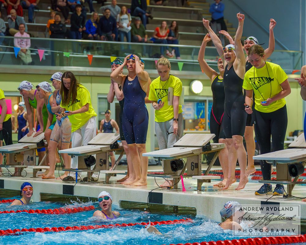 Swim meet spectators cheer enthusiastically from starting blocks during competition.