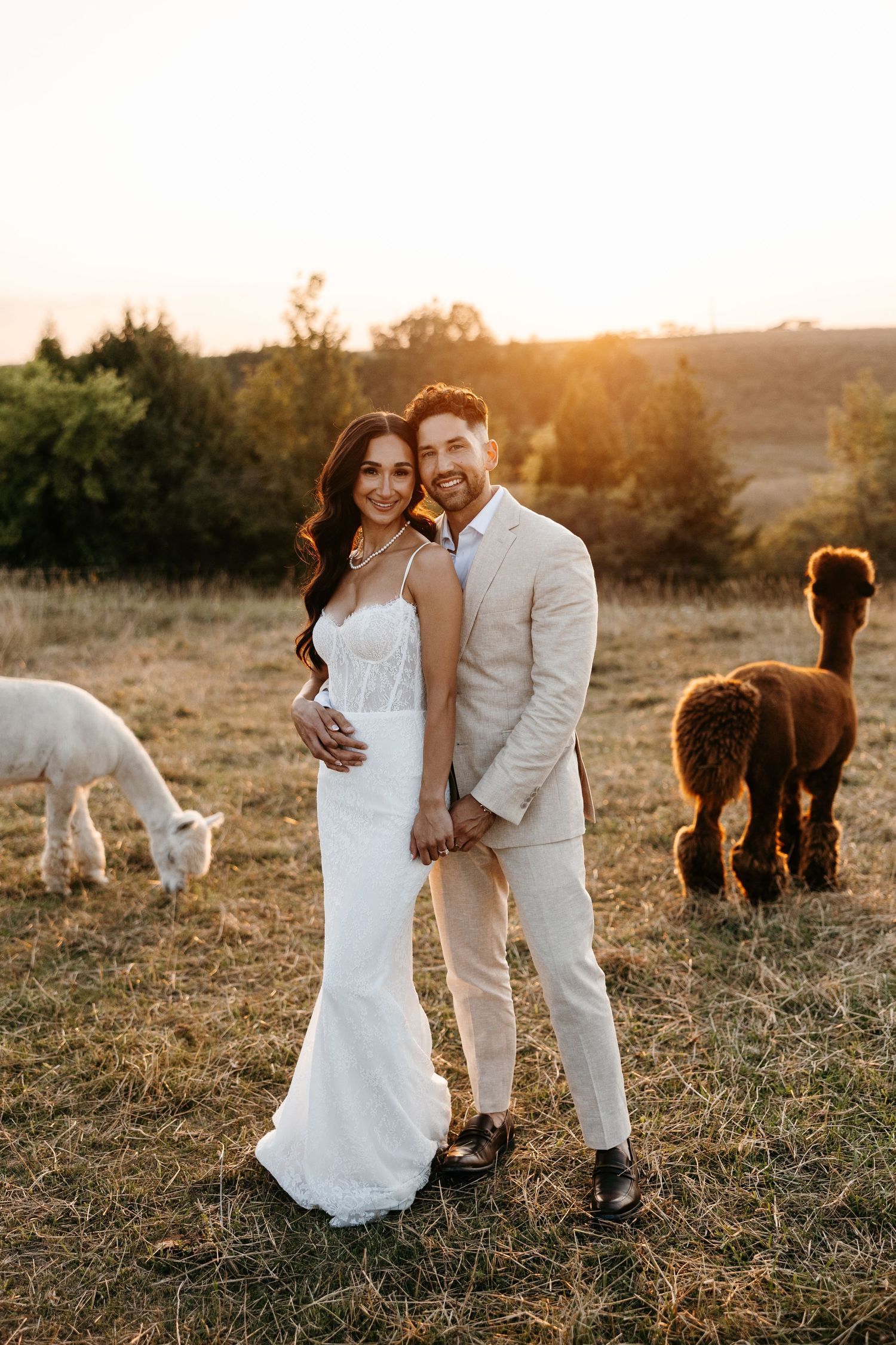 A smiling bride and groom pose at golden hour on a farm with alpacas grazing in the background.
