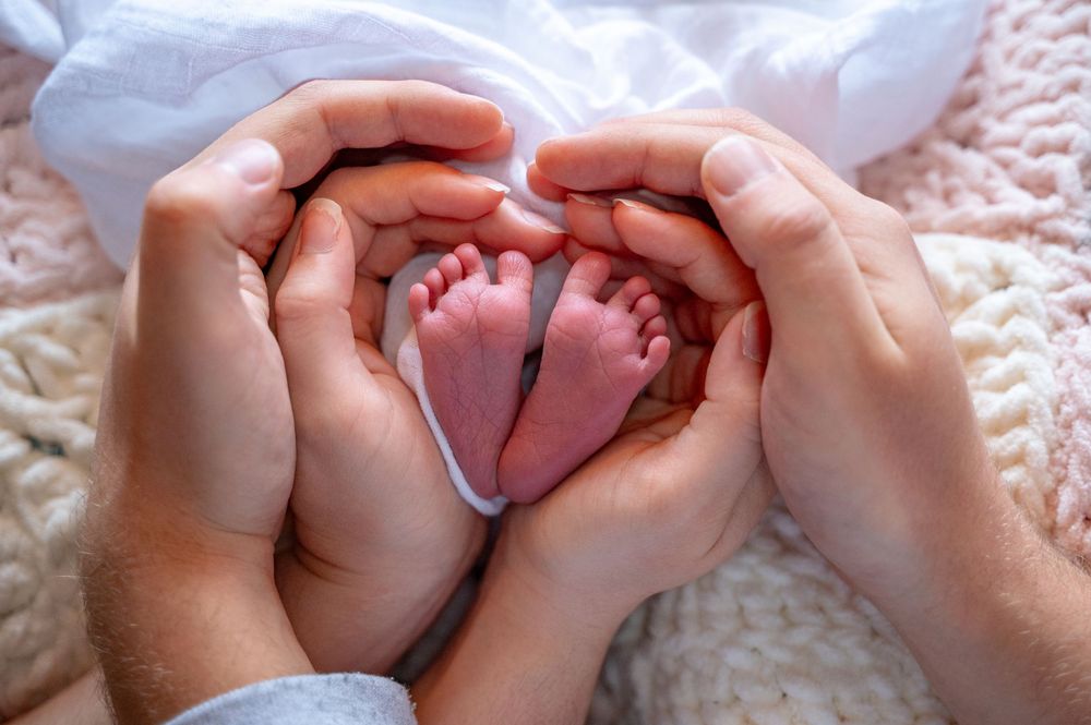 Adult hands gently hold and caress a newborn baby's tiny feet against a soft white background.