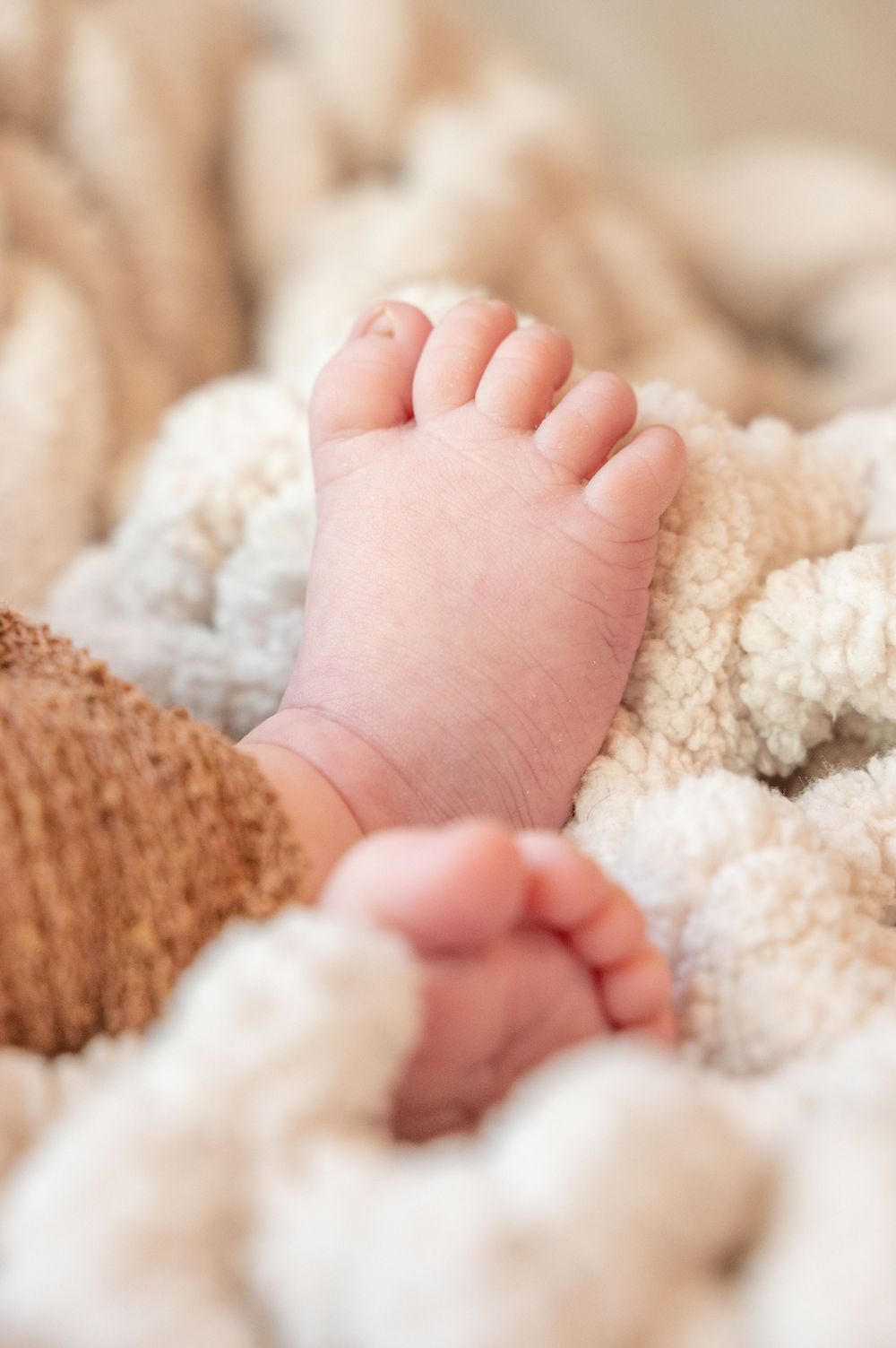 Close-up view of tiny newborn baby feet resting on soft white textured blanket.
