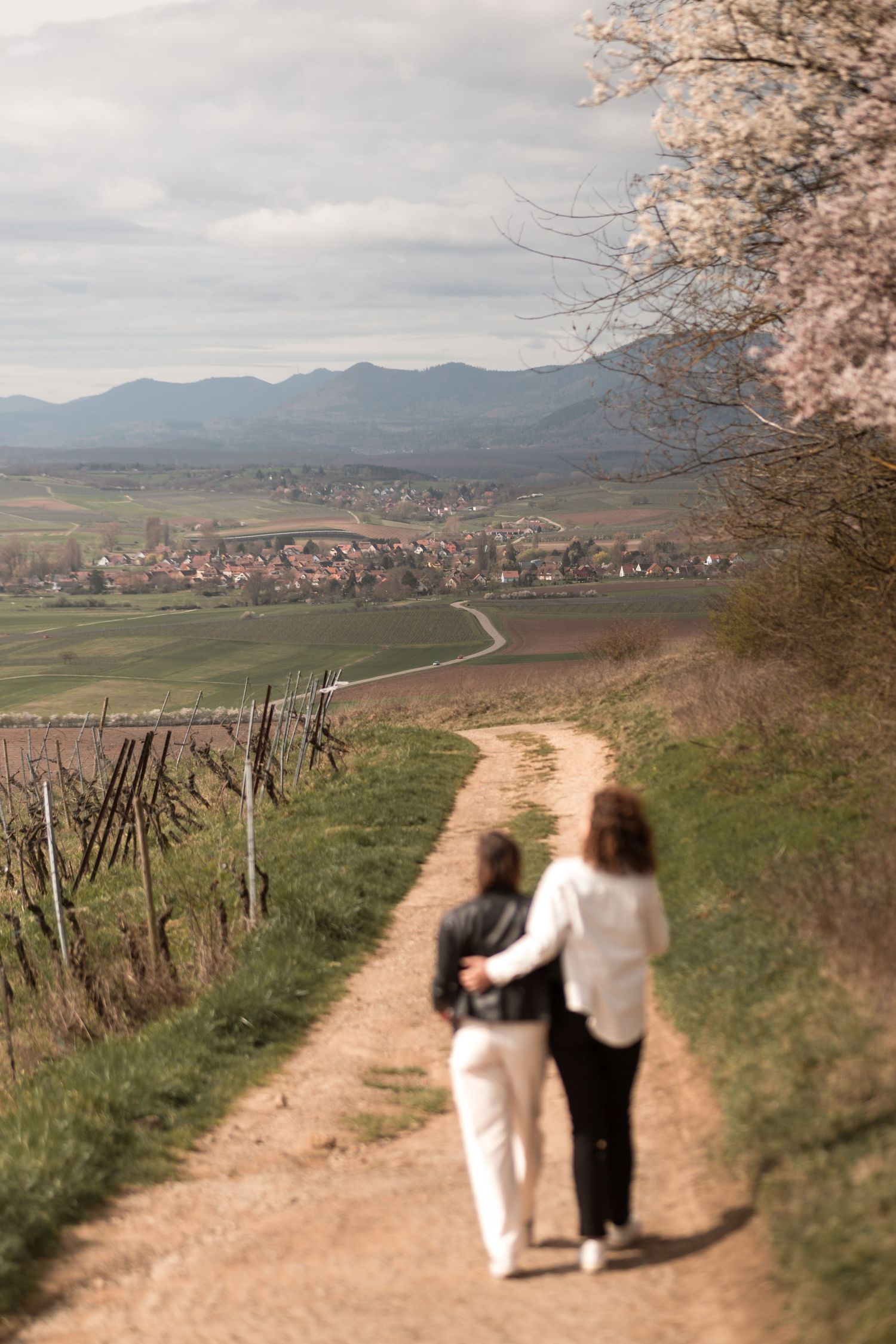 Séance photo engagement dans les vignes en Alsace pour un couple de futures mariées