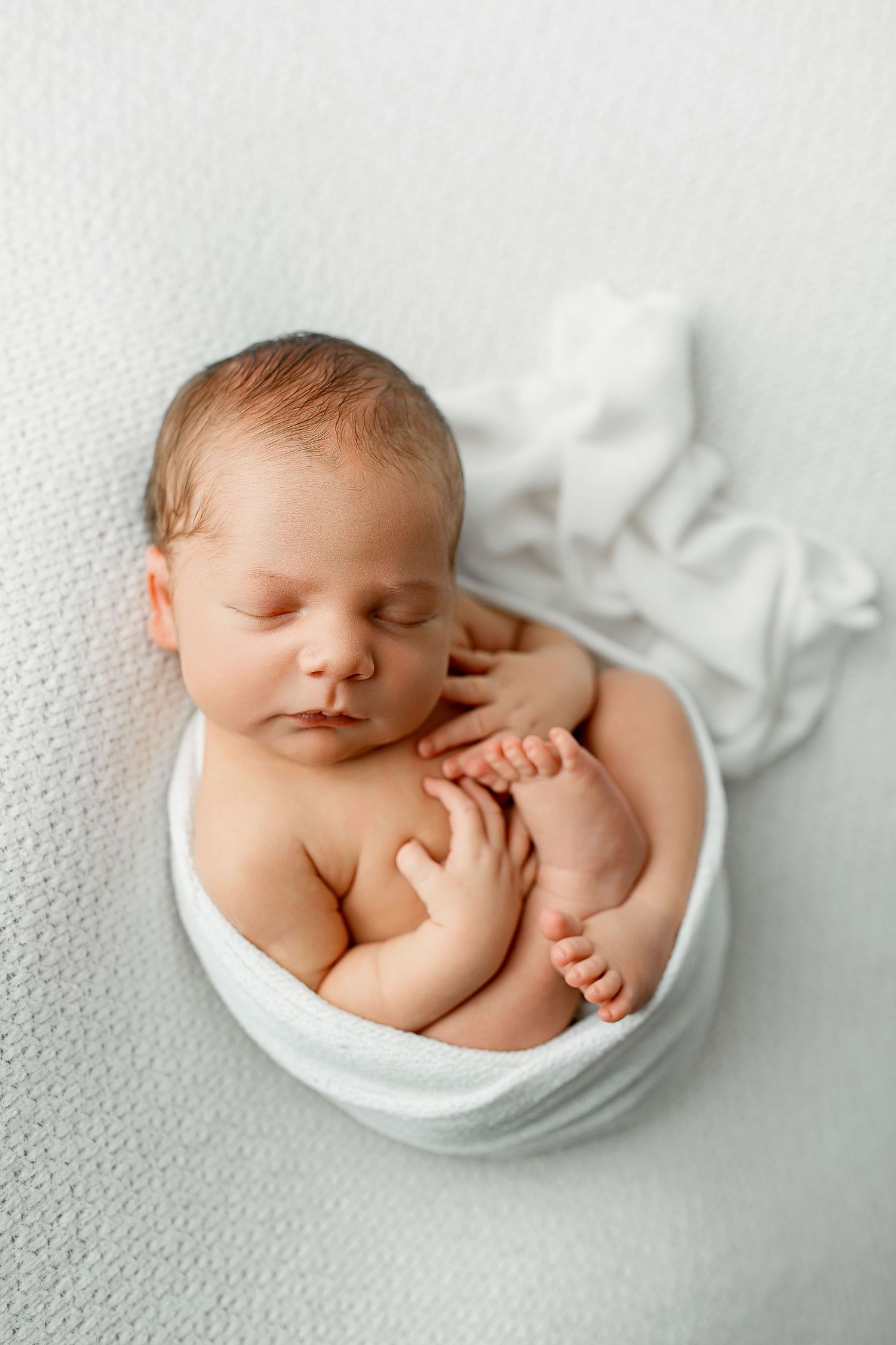 Newborn baby curled up in white wrap during Summerville SC studio session