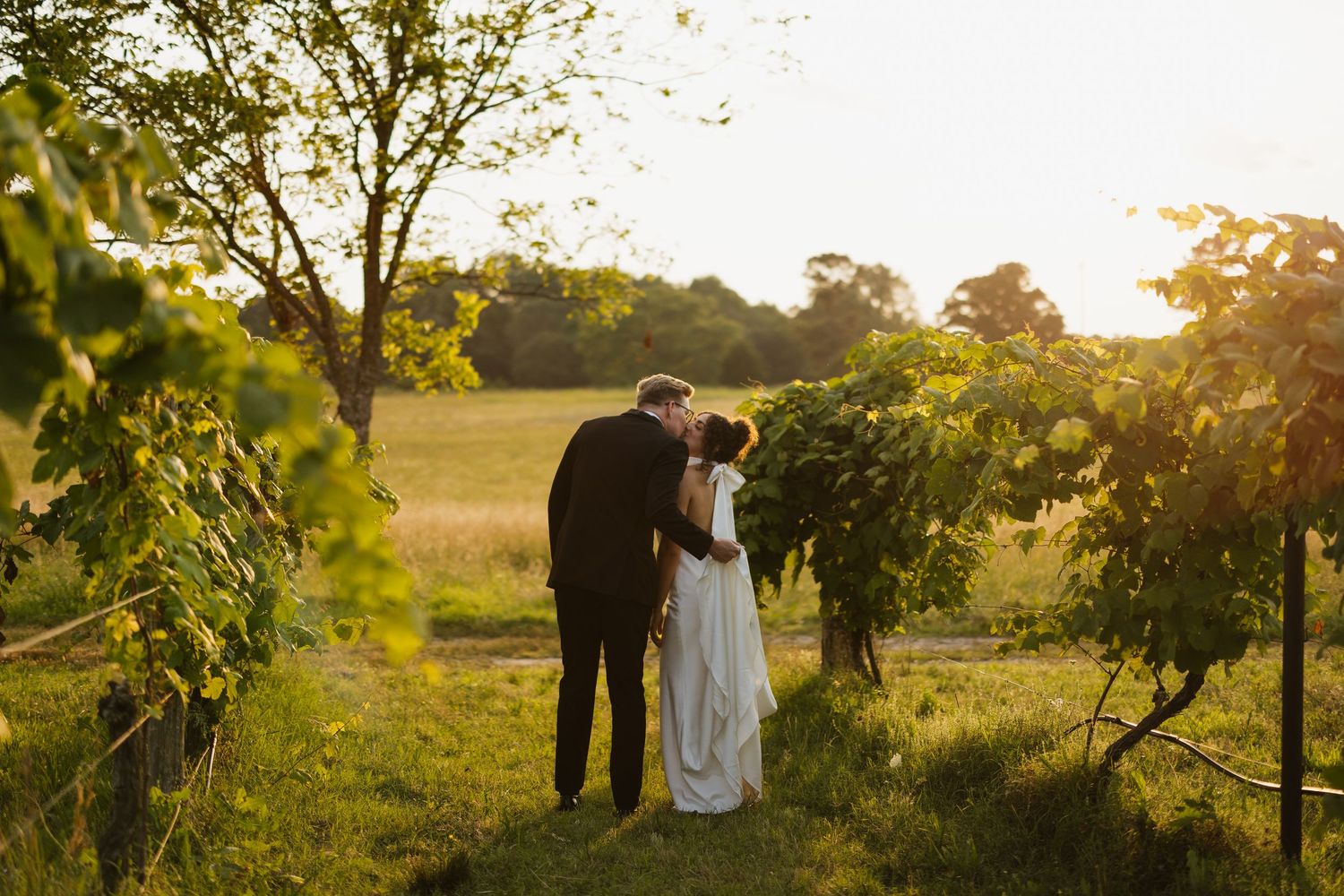 Bride and groom kissing by the vineyard at Fair Haven at the Vineyards during a sunset wedding in Arkansas.
