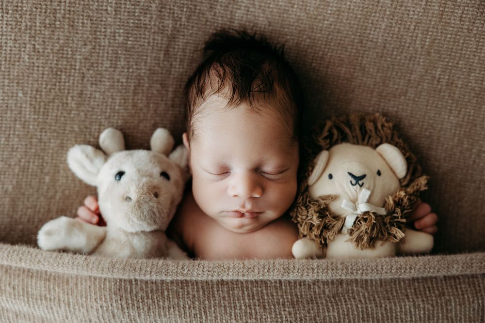 Sleeping infant surrounded by small plush animal toys on a neutral colored backdrop.