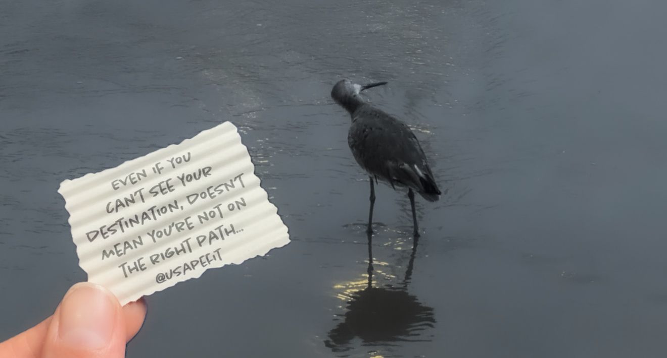 A series of photos showing a black duck swimming in water with a piece of paper or note being held nearby.