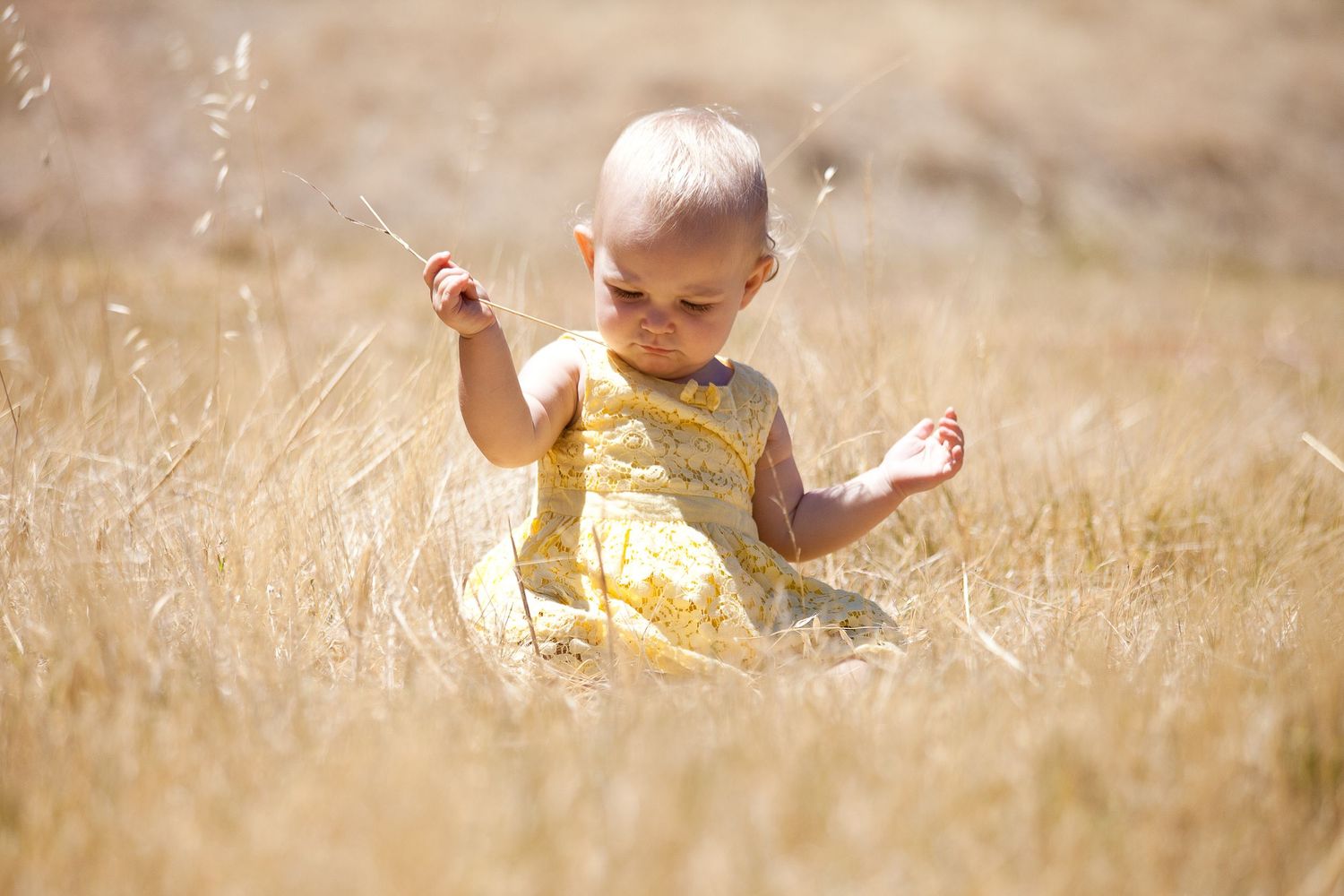 A small child in yellow clothing plays in a field of tall golden grass on a sunny day.