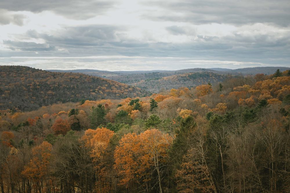 Panoramic view of rolling hills covered in vibrant autumn foliage under a cloudy sky in New England.