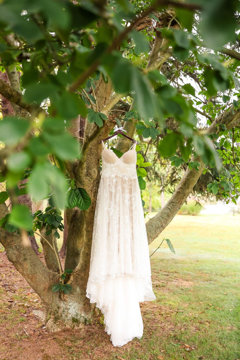 A delicate white lace wedding dress hangs from a tree branch surrounded by green leaves in a garden setting.