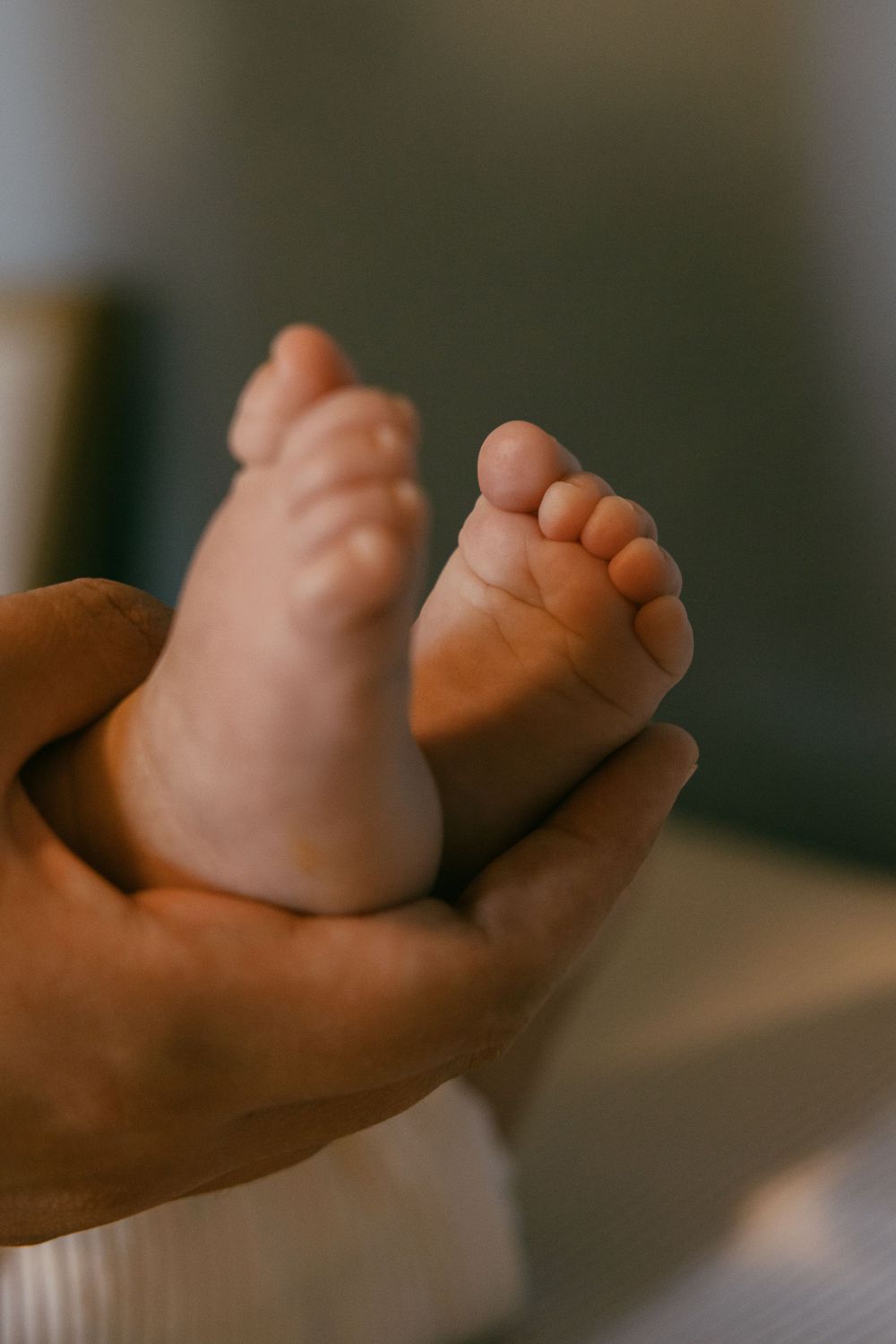Tiny baby feet rest gently in adult hands.